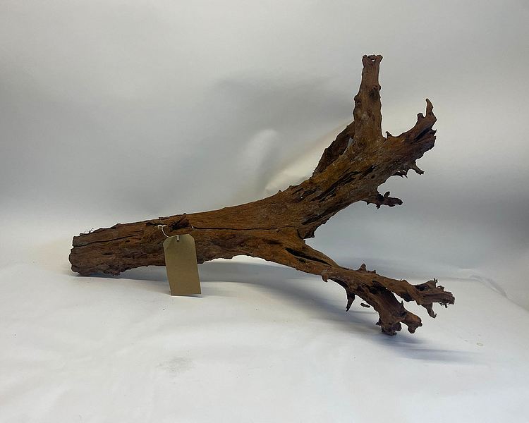 Driftwood - XXL (80cm - 90cm) #DW2